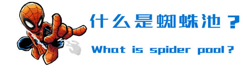 详解蜘蛛池的外推方法与技巧 流量 搜索引擎 百度 经验心得 第1张